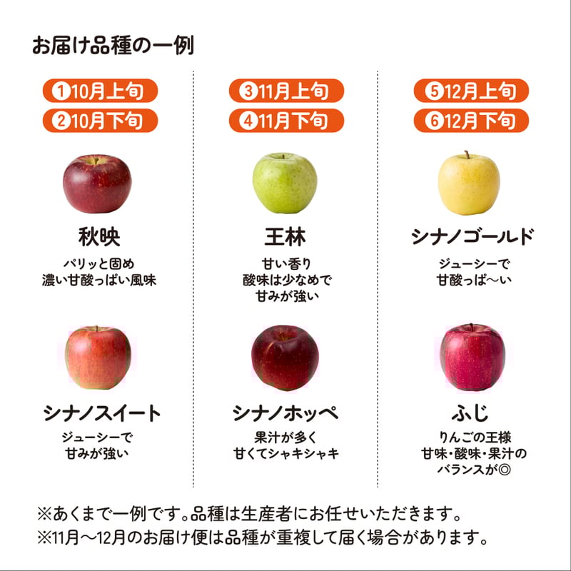 確認用　りんごぷりん様 りんご様 10日 専用】りんご様 りんご りんご・専用【シ2×3】 りんご様