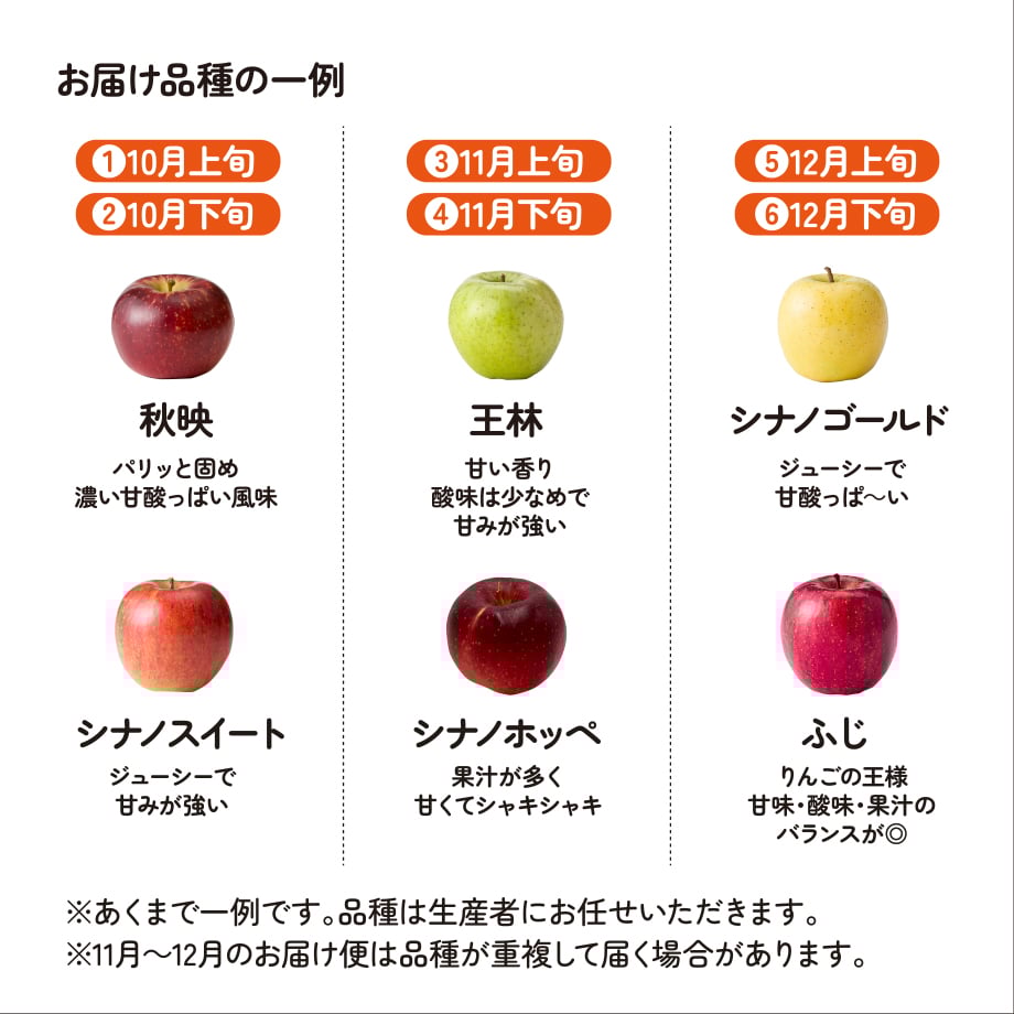 りんご様確認専用ページ➁ りんご様24.5cm りんご・専用【シ2×3