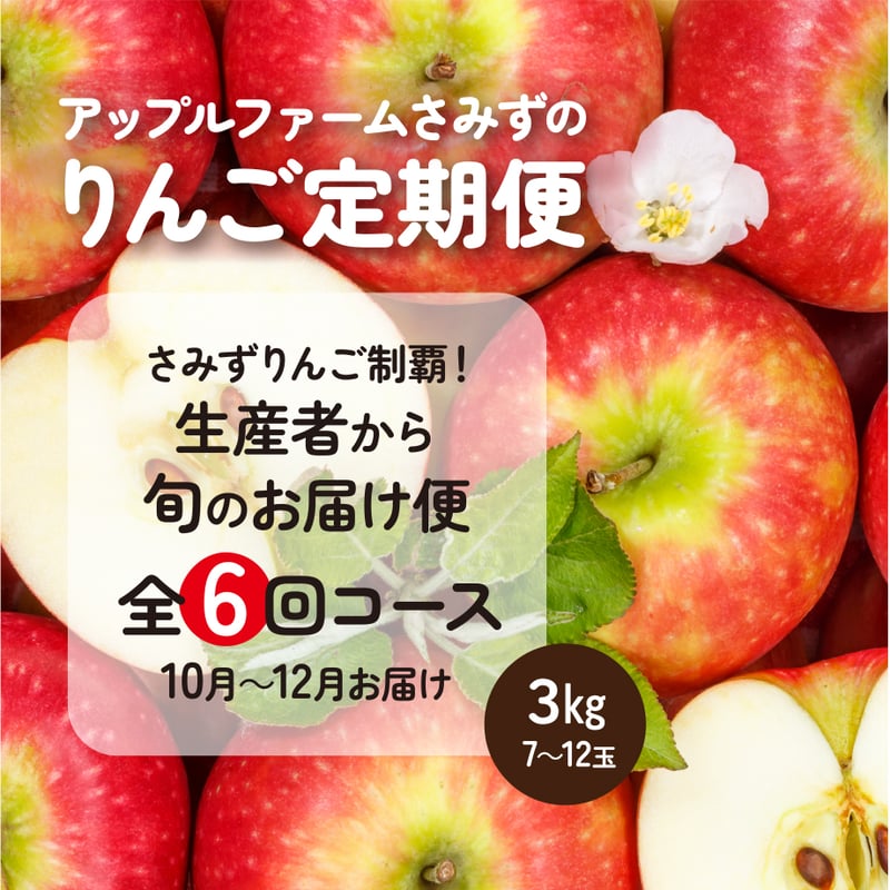 りんごページ りんご定期便＊さみずりんご制覇！生産者から旬のお届け便＊（全6回