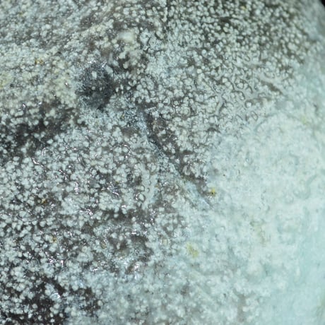三上亮　雪白茶盌