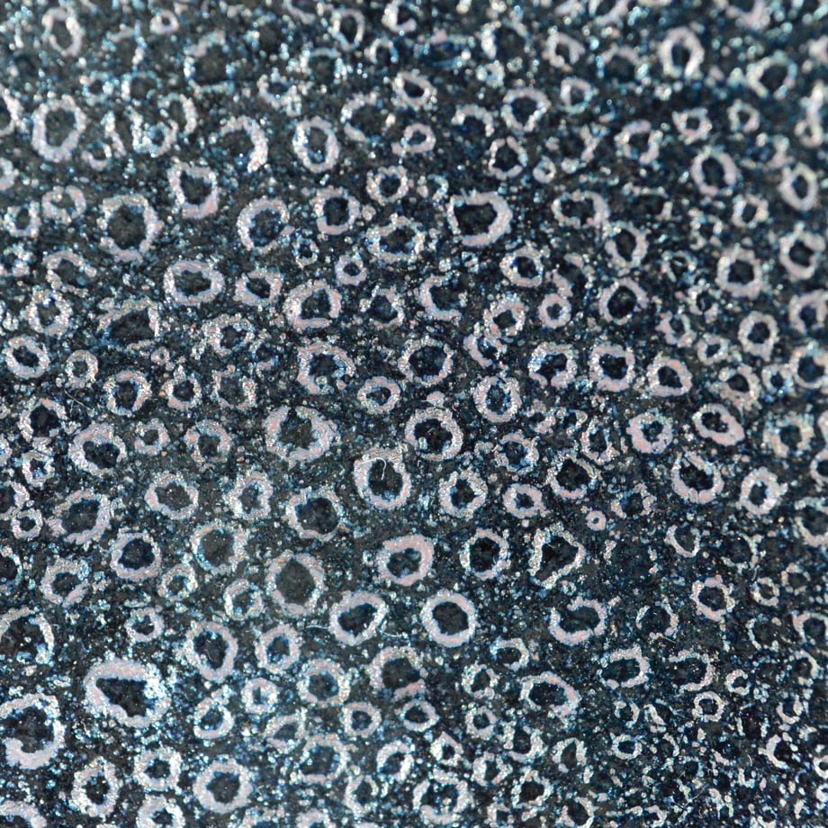 58101bc341f8e8342e0004a8
