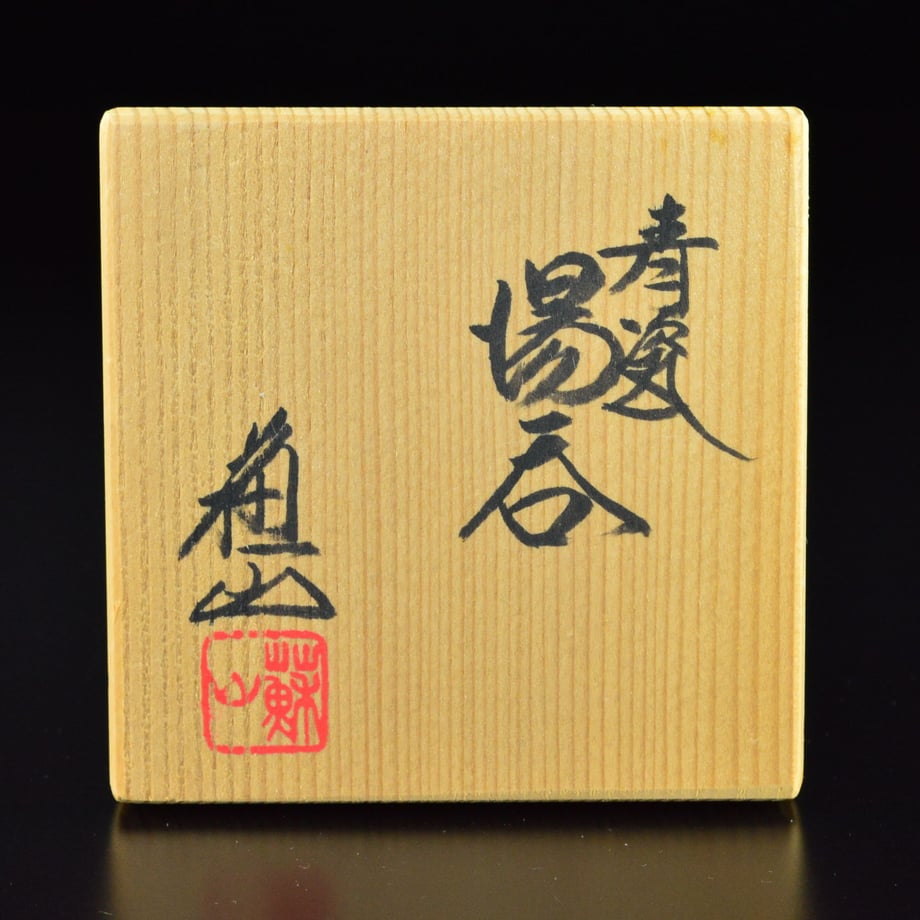 582a82649821cc871c00020e