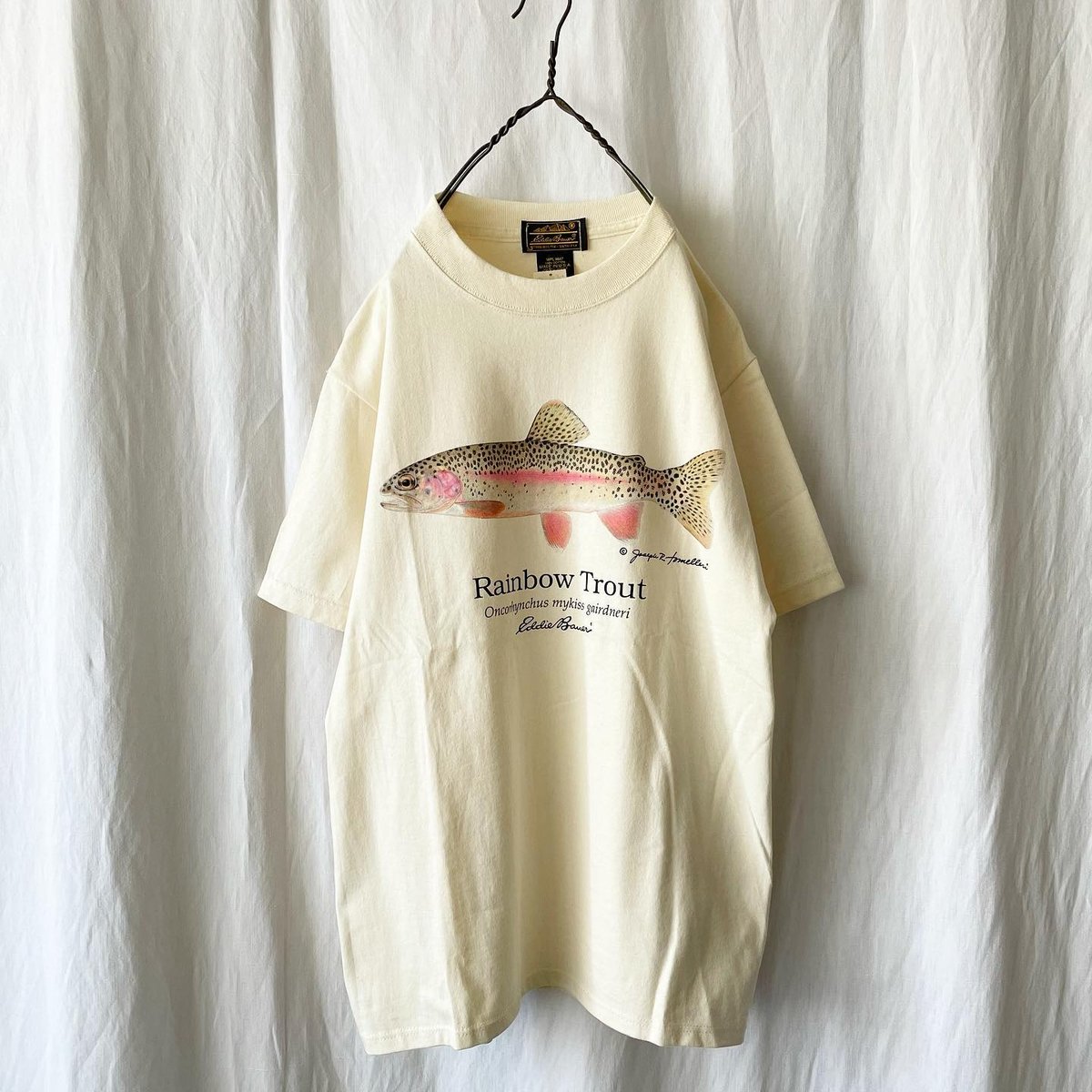80s 90s エディバウアー　Tシャツ　魚　eddie bauer 古着 80s USA製 Eddie Bauer 「Brown Trout」 トラウト 魚