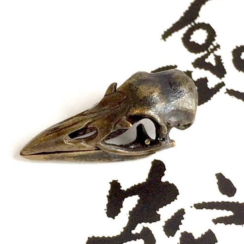 貴重！タンタルスモンキー 頭骨 貴重！タンタルスモンキー 頭骨 【公式通販】