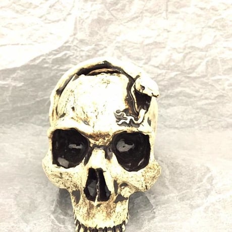 【即納可能！】蛇とドクロ～花器～[大友窯SKULL]
