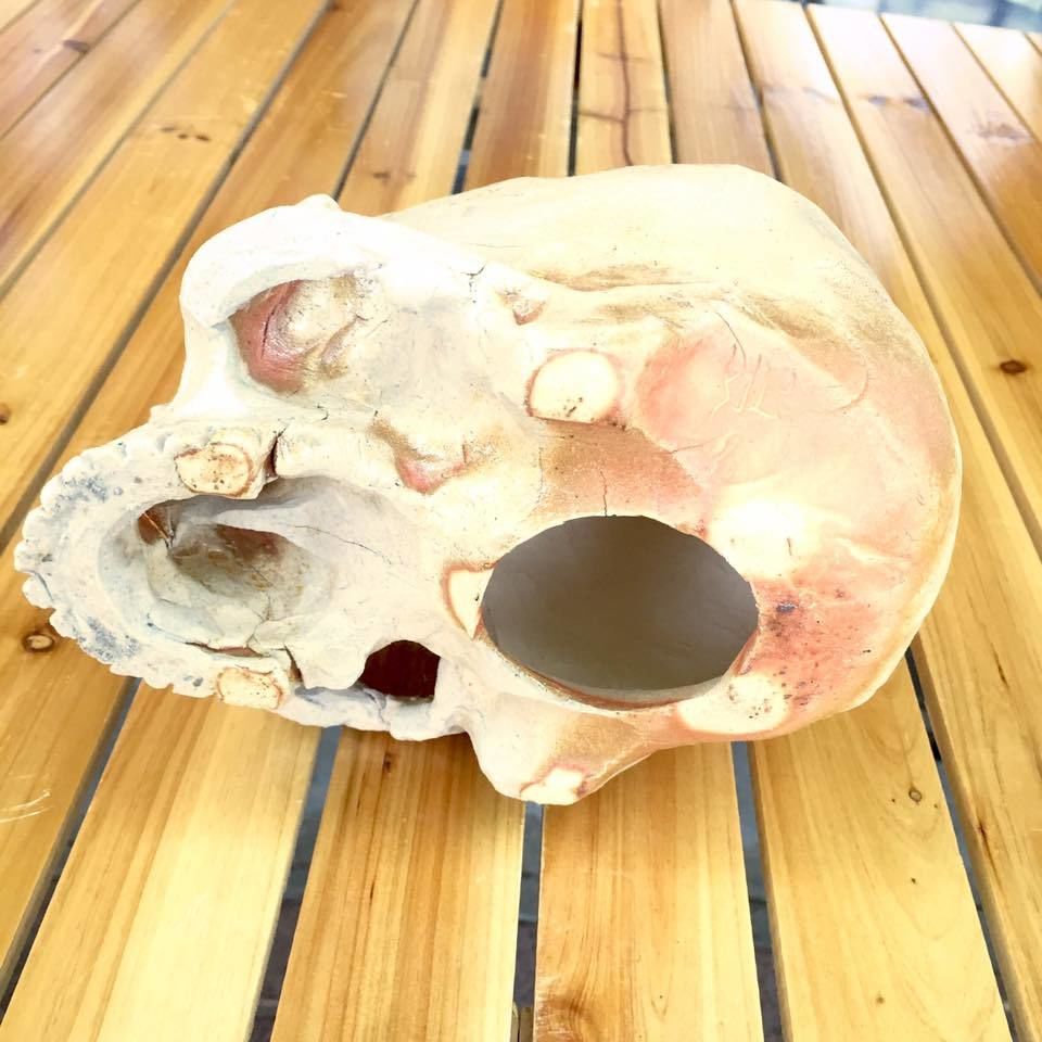 即納可能！】髑髏～焼き締めオブジェ大～[大友窯SKULL] | 上州本店 蛇骨堂