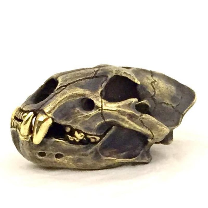 即納可能！ライオンの頭蓋骨】ライオン(フィギュア）［SKURANGER