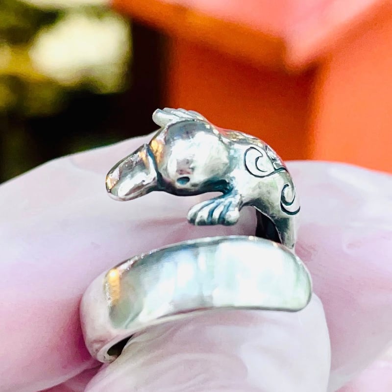 即納可能！可愛いカモノハシの指輪】カモノハシ（リング）［林檎屋