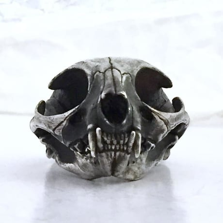 cat skull　リング［kinsfolk］