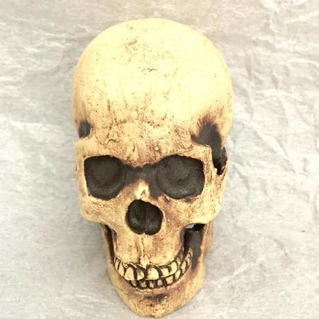 【SOLD OUT!】髑髏オブジェ（小）[大友窯SKULL]