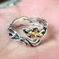 【即納可能！】ナローラファエルリング［Artemis Classic］