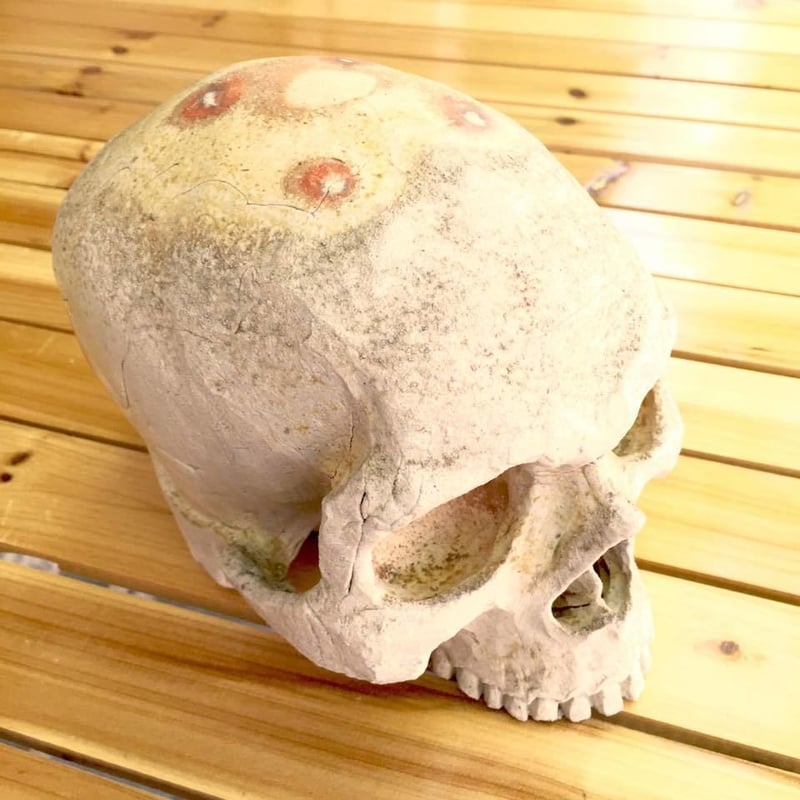 即納可能！】髑髏～焼き締めオブジェ大～[大友窯SKULL] | 上州本店 蛇骨堂