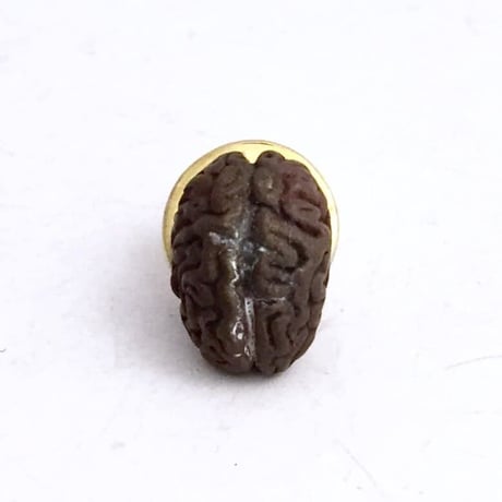 Brain　ピンズ［kinsfolk］