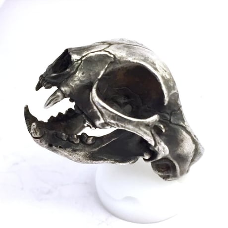 cat skull　リング［kinsfolk］
