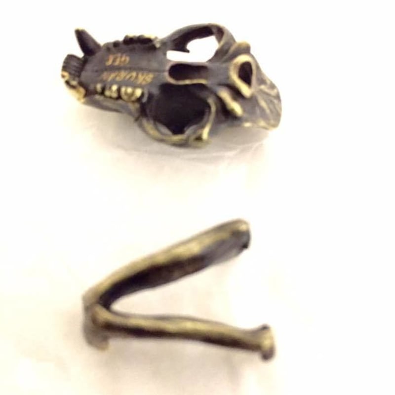 高品質！イランド スカルホーン（幼獣）A 即納可能！ライオンの頭蓋骨】ライオン(フィギュア）［SKURANGER