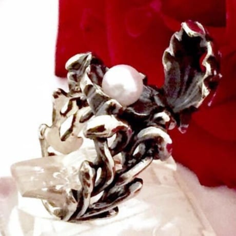 【即納可能！サイズ＃12号】Shell Ring（シェルリング）