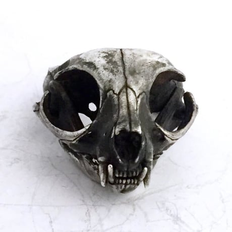 cat skull　リング［kinsfolk］