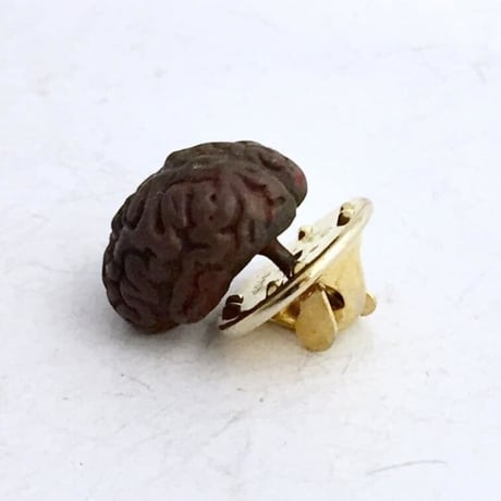 Brain　ピンズ［kinsfolk］
