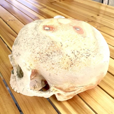 【即納可能！】髑髏～焼き締めオブジェ大～[大友窯SKULL]