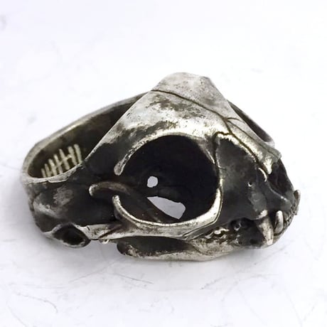 cat skull　リング［kinsfolk］