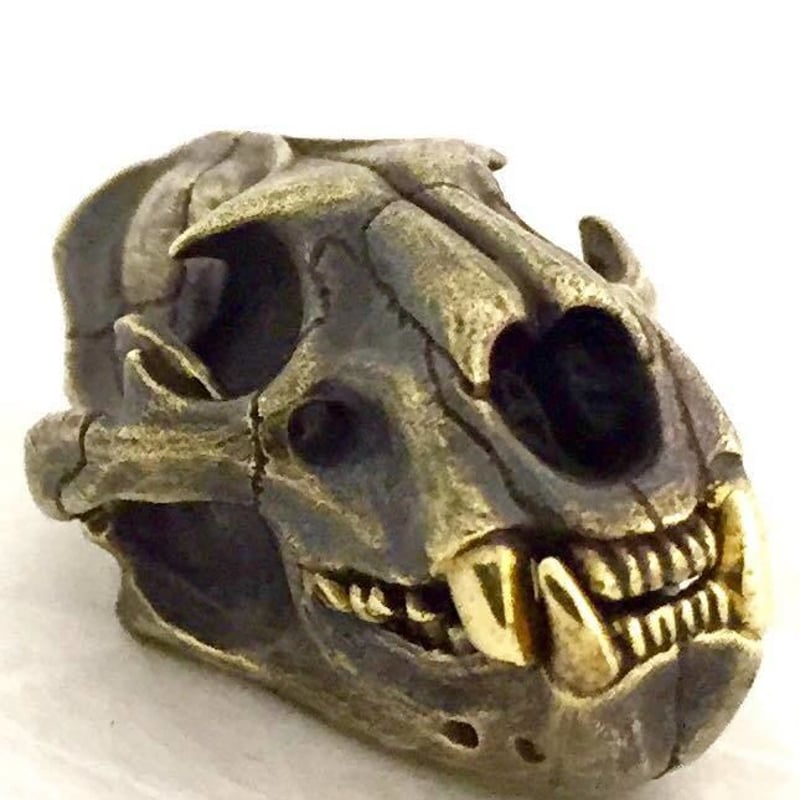 高品質！イランド スカルホーン（幼獣）A ヨーロッパ アカシカ Red deer ♂ スカルホーン B - 頭骨・骨格