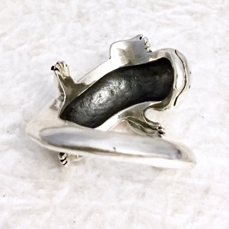 オオサンショウウオ　リング オオサンショウウオ（リング）［林檎屋］ | 上州本店 蛇骨堂