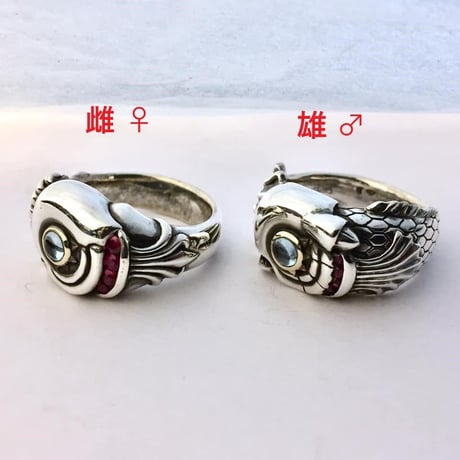 【SOLDOUT！】ルビーギル　オス♂[阿光]