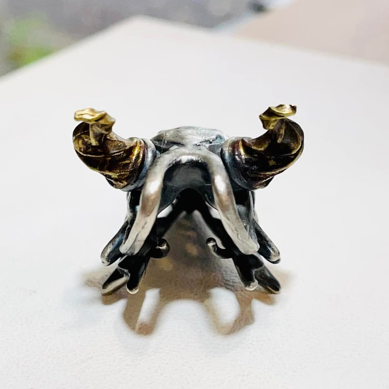 即納可能！】スカルドラゴン頭骨（ペンダントトップ）［林檎屋］ | 上