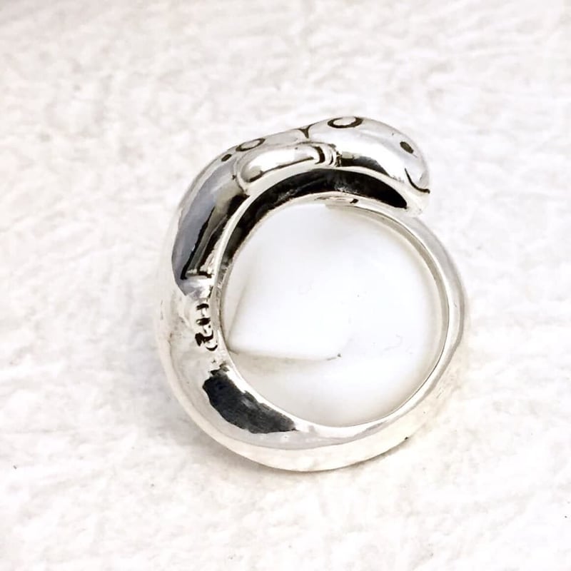 オオサンショウウオ（リング）［林檎屋］ | 上州本店 蛇骨堂