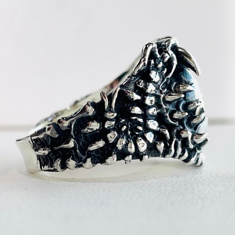 即納可能！】禍蛇眼（マガカガメ）リング［銀燭］ | 上州本店 蛇骨堂