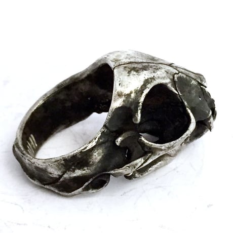 cat skull　リング［kinsfolk］