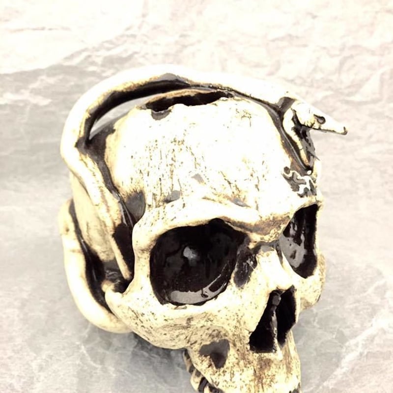珍品】ドクロ蛇髑髏陶器製スカル置物 約10cm