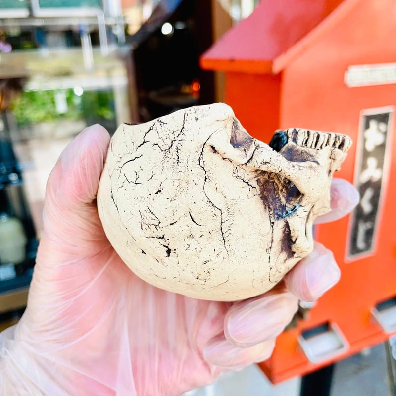 即納可能！】ぐい吞みリバース ［大友窯SKULL］ | 上州本店 蛇骨堂