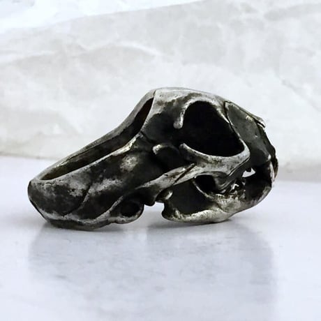 cat skull　リング［kinsfolk］