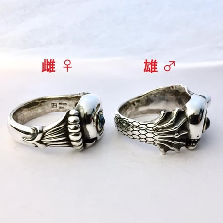 【SOLDOUT！】ルビーギル　オス♂[阿光]