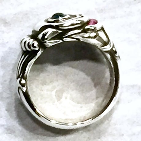 【SOLD OUT！】ルビーギル　メス♀[阿光]