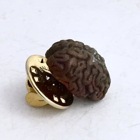 Brain　ピンズ［kinsfolk］
