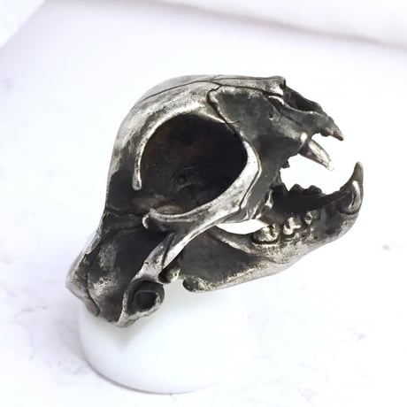 cat skull　リング［kinsfolk］