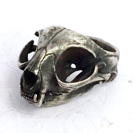 cat skull　リング［kinsfolk］