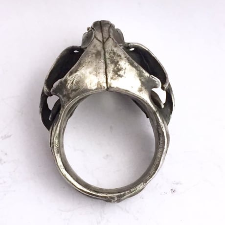 cat skull　リング［kinsfolk］
