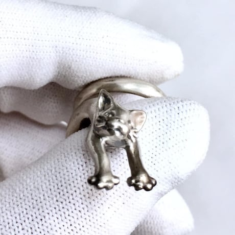 【即納可能！2タイプのサイズ】猫は液体（リング）［林檎屋］
