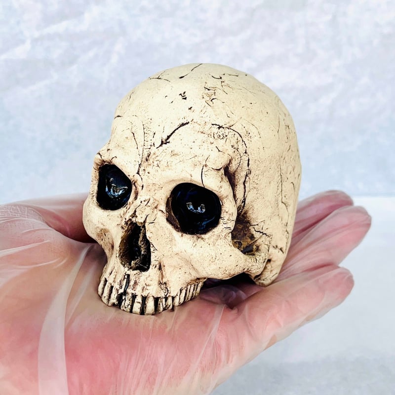 即納可能！】ぐい吞みリバース ［大友窯SKULL］ | 上州本店 蛇骨堂