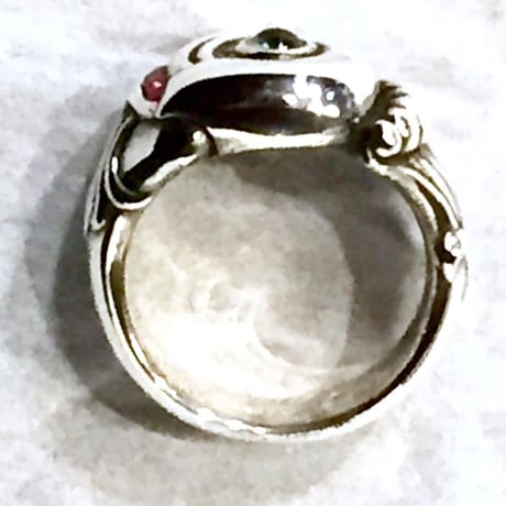 【SOLD OUT！】ルビーギル　メス♀[阿光]