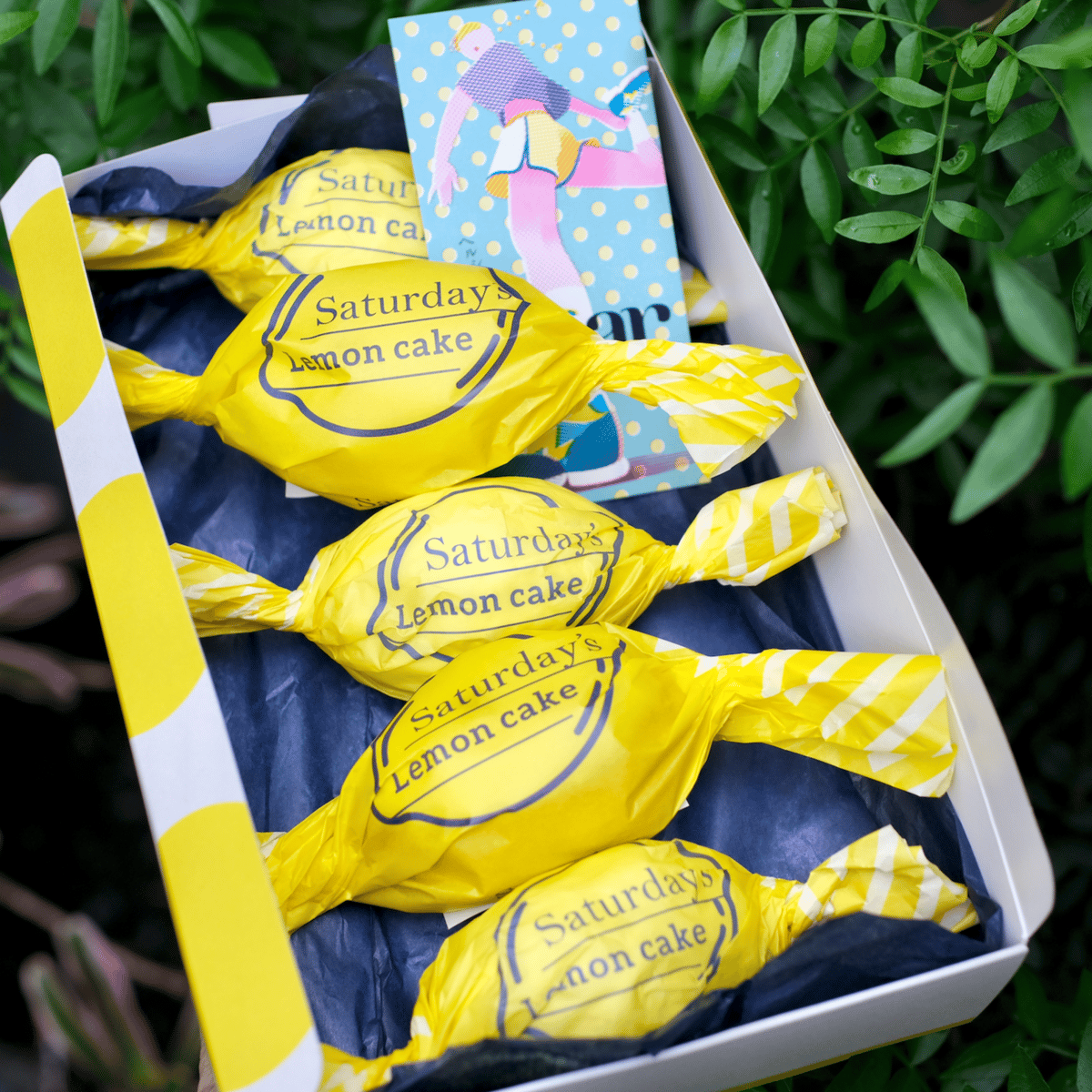 全国発送〉レモンケーキ5個セット | . AND READY online shop