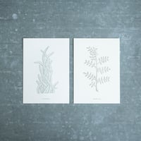 高山活版室 / Postcard 2種