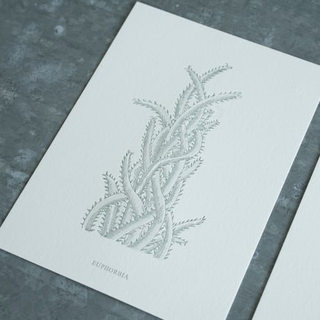 高山活版室 / Postcard 2種