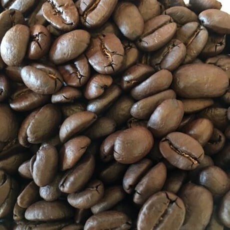 メキシコ    マヤビニック （100g）/深煎り