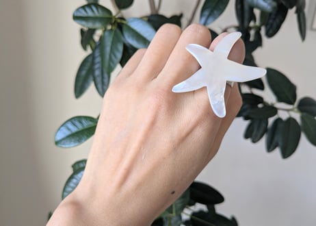 🇫🇷【Nature Bijoux】LES CYCLADES/リング