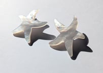 🇫🇷【Nature Bijoux】LES CYCLADES/ピアス(フレンチフックタイプ)