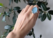 🇫🇷【Nature Bijoux】GOTBORG/リング